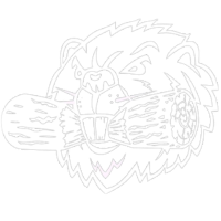 Busy Beaver Construction Ltd.