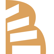 The Basement Renovators