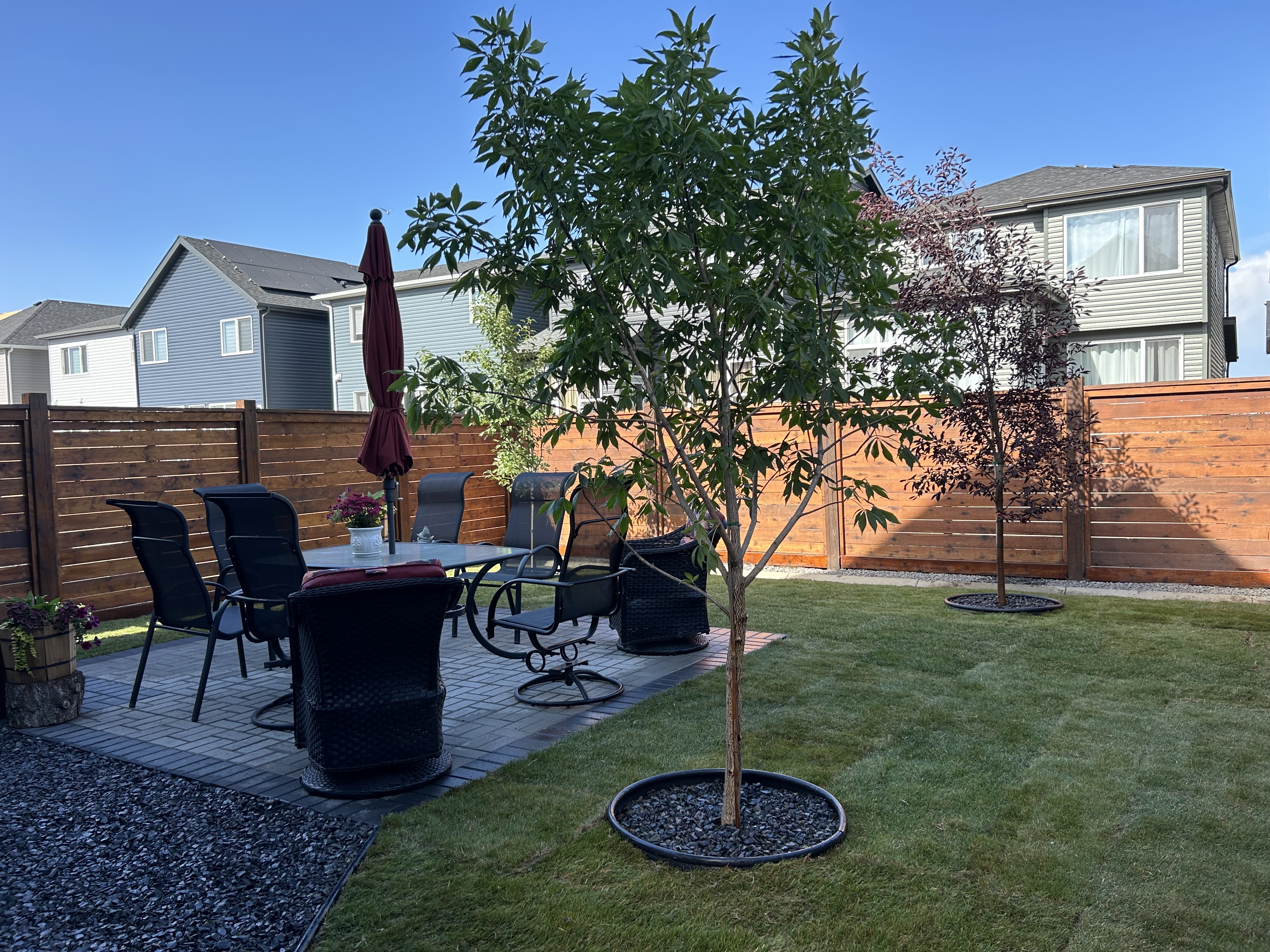 Great North Landscaping & Construction Ltd photo 2