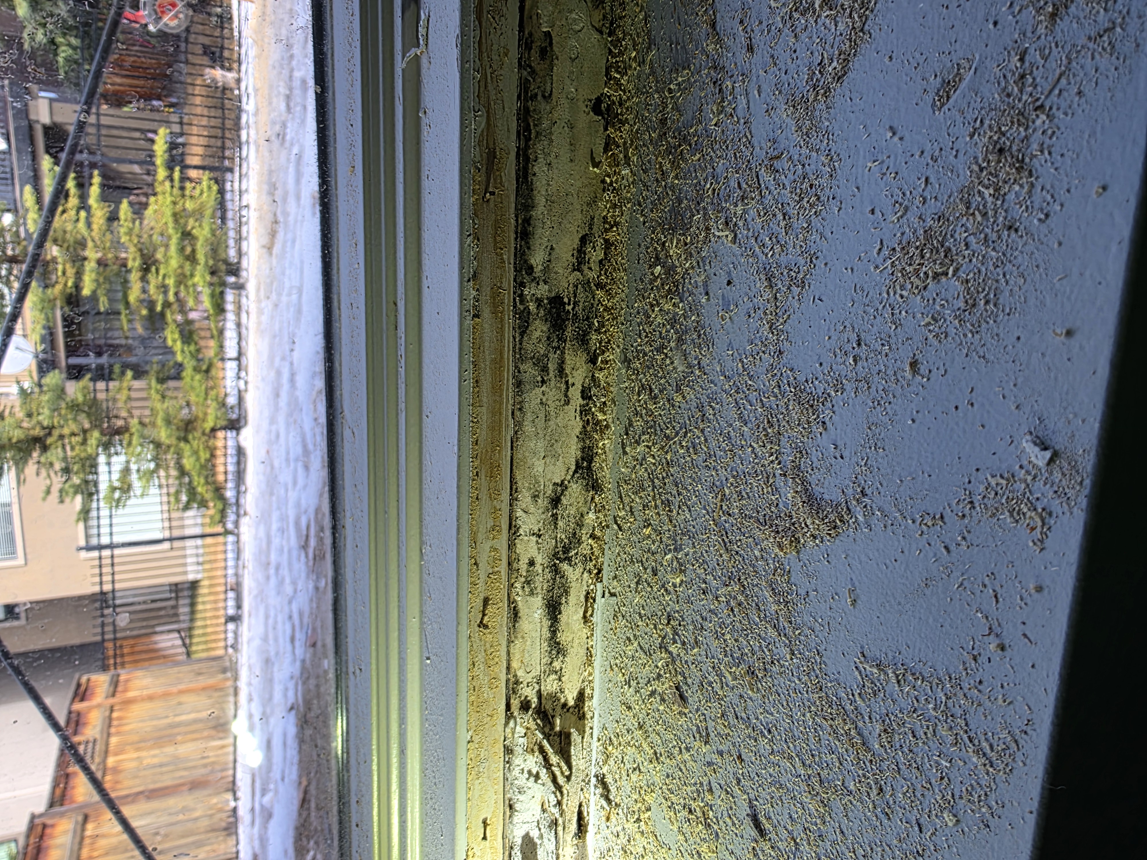 Envirofog Solutions photo 3