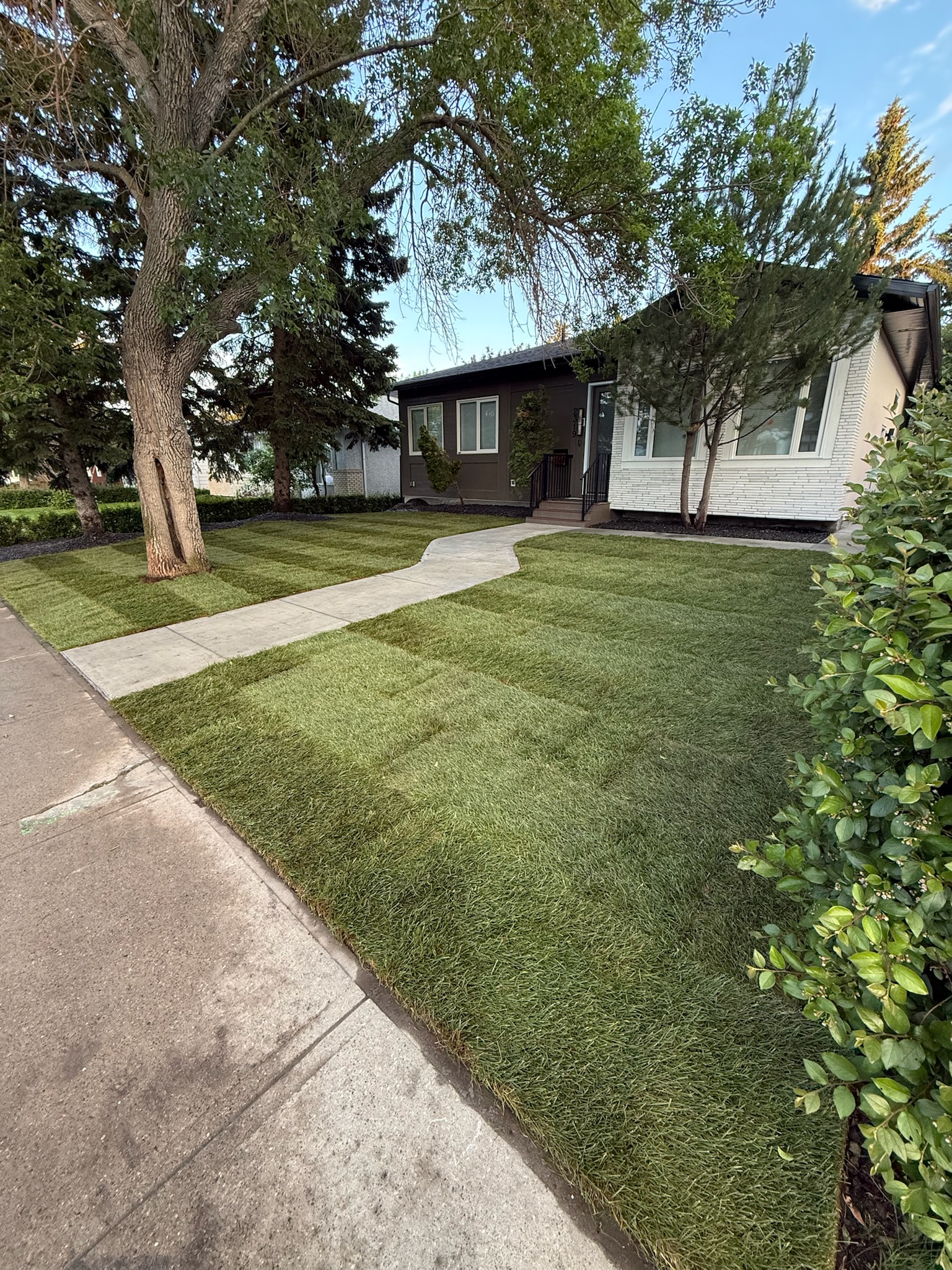 Nero Contracting Inc photo 2