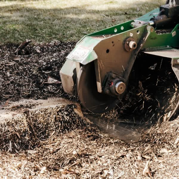 Calgary Stump Grinding