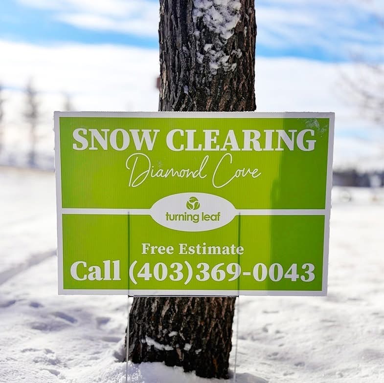 Turning Lead Calgary SE Snow Shovelling