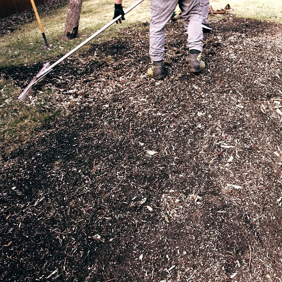 Turning Leaf Residential Clean Up